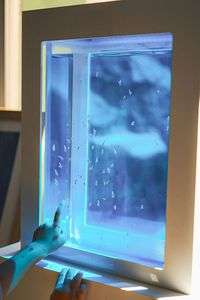 指先に集まるクリオネ