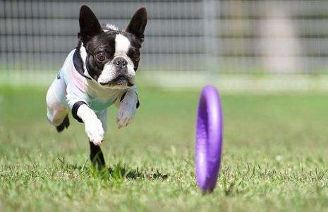 ぼくの好きなこと