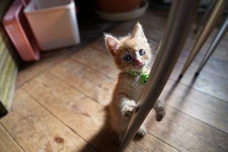 はじめまして。