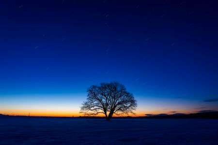 新年の夜明けへ