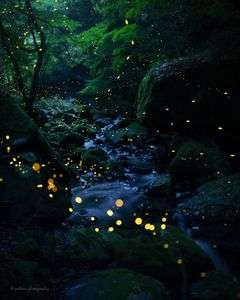 光の流れるままに