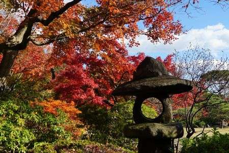 晩秋の庭園