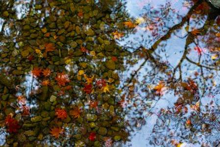 見上げるは若い頃