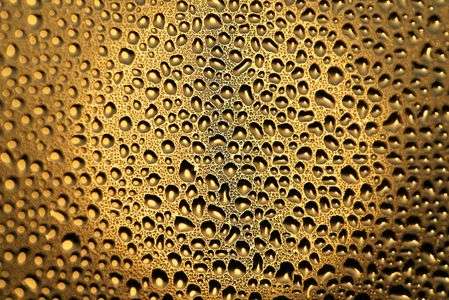 結露越しの朝日