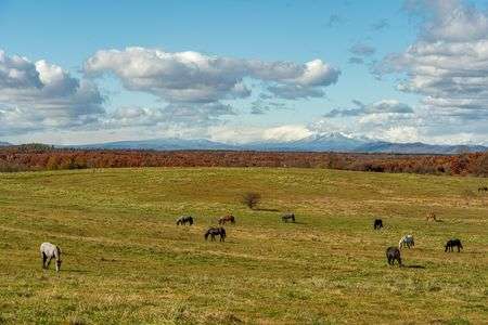 十勝牧場展望台