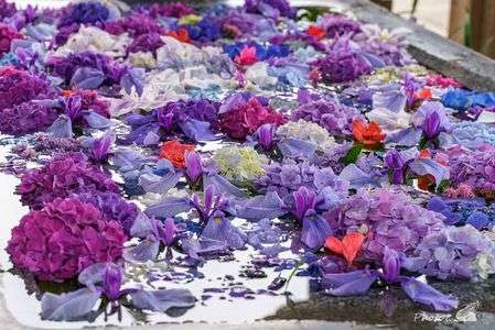 宮地嶽神社へお参り