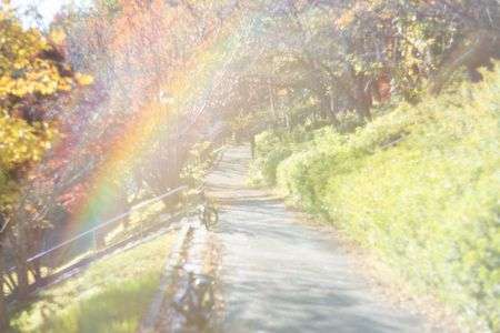 昼下がりの公園