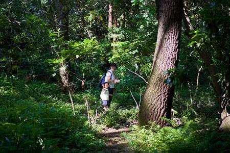 森の中にて