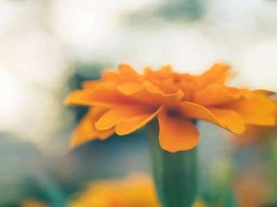 ふぉらっとでソフト感じ