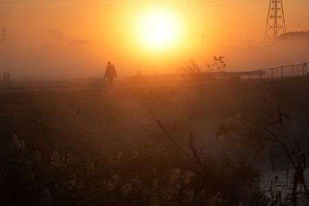 太陽を背に受けて