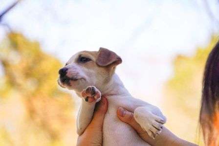 あっち行きたい