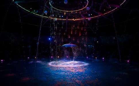 カラフルジャンプ