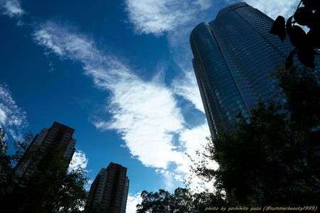 六本木ヒルズ毛利庭園から