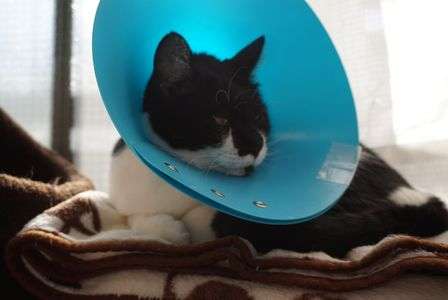 術後服デビュー