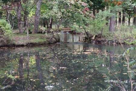 北大研究林その2