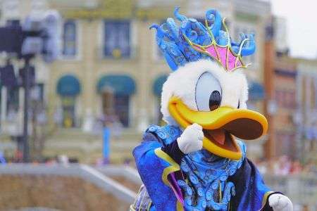 フェスティバルオブミスティーク