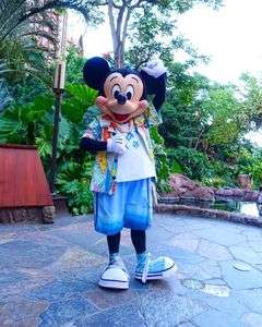 アウラニミッキー