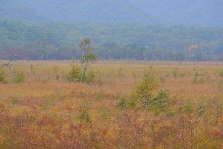 秋の戦場ヶ原