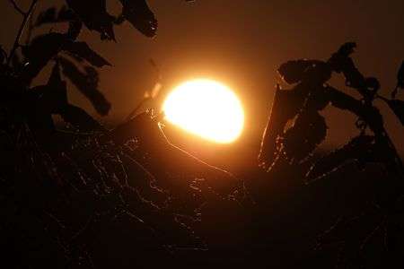 初日の出　変わった感じに撮れちゃった