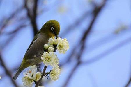 散歩コースの梅林公園にて