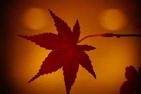 αcafeイベント　α体験会関東