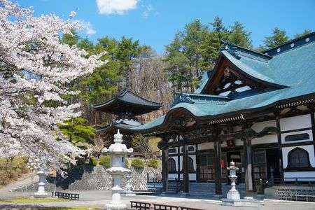 桜とお寺