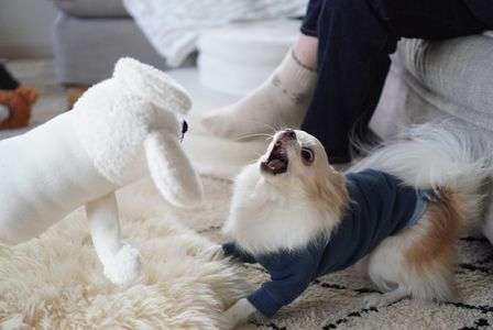 負けないぞー！