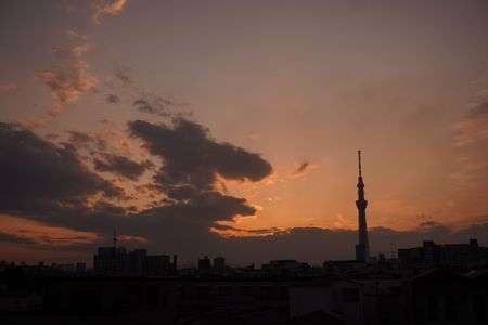 夕暮れのスカイツリー
