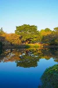 色づき始めのリフレクション