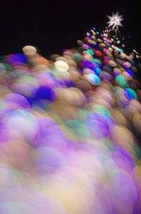 クリスマスツリー