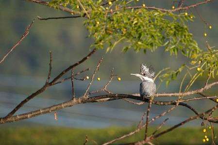 新しいフィールド