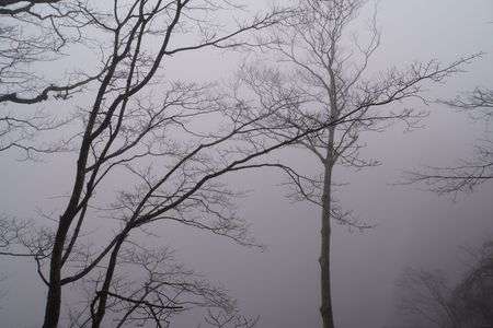 心が綺麗な人にしか見えない華厳の滝