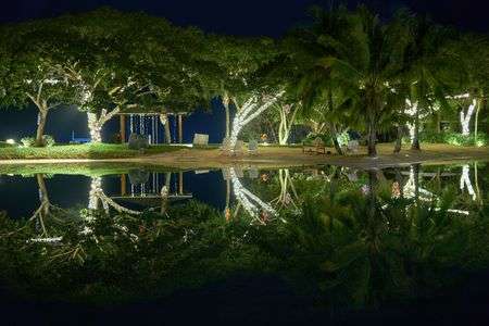 リフレクション