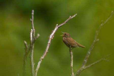 お気に入りのソングポスト