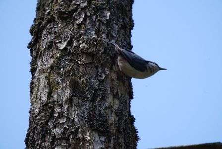 こういうのしか摂れない