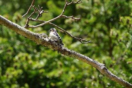 相変わらずかわいいけど…