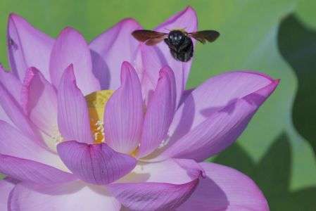 何見てんだよぉ！！