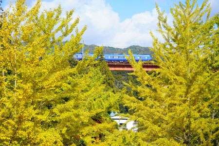 山陰本線紅葉探し