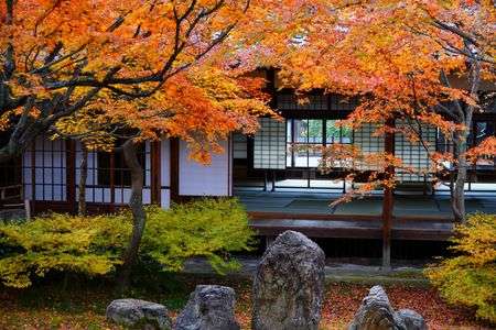 京都ラスト紅葉 　