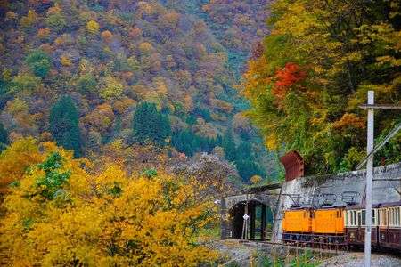 黒部峡谷鉄道トロッコ列車の旅②