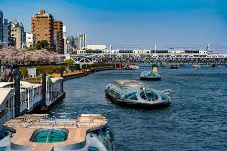 桜に集まる乗り物たち