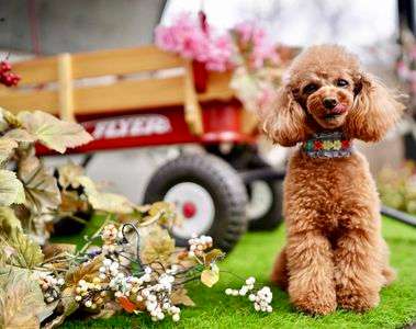 食べたい気持ちが顔に出るタイプ