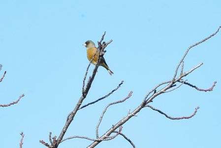 睨まれた！！！