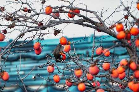 もう～！　堪らないんだ！！！