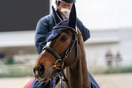 誘導馬アリストテレスくん