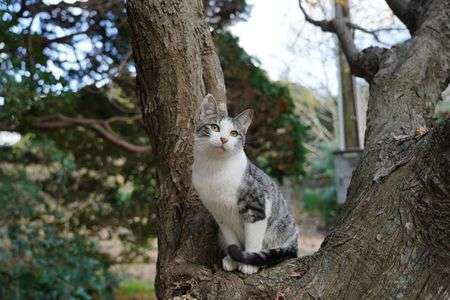 お気に入りの場所で