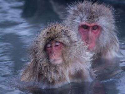 いい気持ちだ・・・