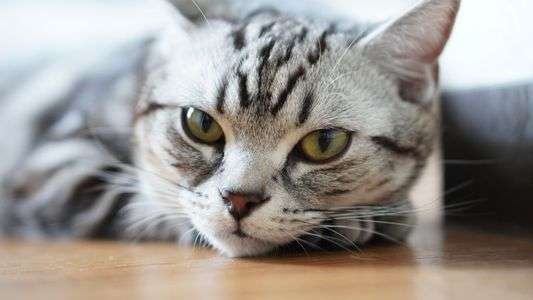 今日もお仕事お疲れ様