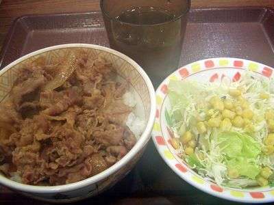 牛丼並＋サラダ
