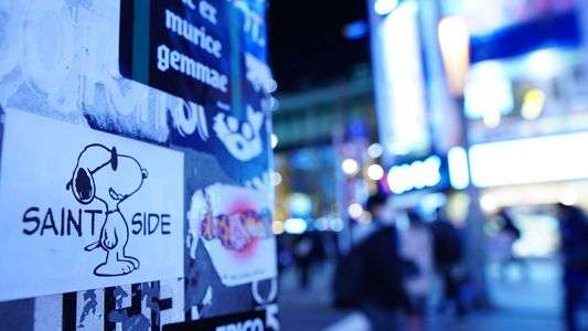 アキバのスヌーピーは何を見る？